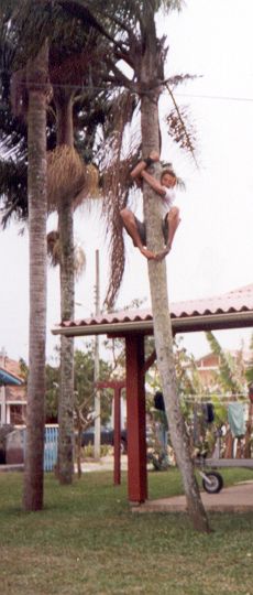 Ser tosco �... subir no coqueiro (2000)
